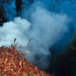 brulage dechets jardin