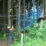 tree climbing 2