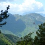 Grdes tyros-4