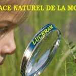 decouverte