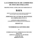 affiche BAFA 2018