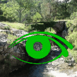 oeil
