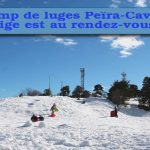 luge