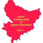 carterisque